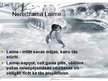 Prezentācija 'Laime', 7.