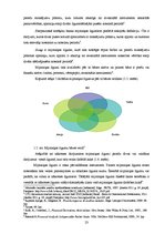 Diplomdarbs 'Atvasinātie finanšu instrumenti, to veidi un izmantošana risku samazināšanai', 23.