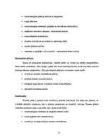 Prakses atskaite 'Inženiera tehniķa prakses atskaite', 21.