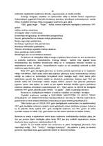 Diplomdarbs 'Vietējā tirgus nozīme uz eksportu orientētā uzņēmumā', 19.