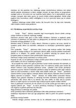 Diplomdarbs 'Vietējā tirgus nozīme uz eksportu orientētā uzņēmumā', 33.