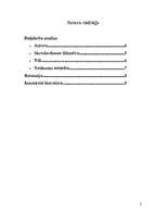 Referāts 'Daiļdarba "Skroderdienas Silmačos" analīze', 2.