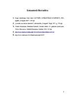 Referāts 'Daiļdarba "Skroderdienas Silmačos" analīze', 9.