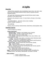 Prezentācija 'Andrejs Upīts "Peldētāja Zuzanna"', 11.