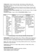 Konspekts 'Politikas vispārīgas tēmas vidusskolas eksāmenam', 5.