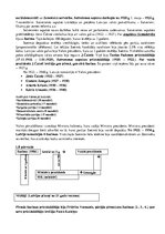 Konspekts 'Politikas vispārīgas tēmas vidusskolas eksāmenam', 11.