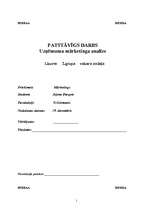 Referāts 'Uzņēmuma mārketinga analīze', 1.