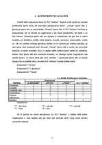 Referāts 'Uzņēmuma mārketinga analīze', 11.