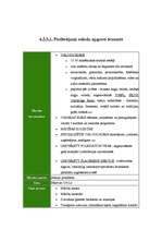 Referāts 'Starptautisko valodu nometņu loma svešvalodu prasmju attīstīšanā', 14.