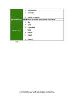 Referāts 'Starptautisko valodu nometņu loma svešvalodu prasmju attīstīšanā', 15.