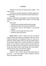 Referāts 'Starptautisko valodu nometņu loma svešvalodu prasmju attīstīšanā', 27.