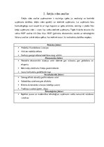 Referāts 'AS "Cēsu Alus" izvērstā finanšu analīze', 3.