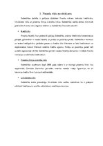 Referāts 'AS "Cēsu Alus" izvērstā finanšu analīze', 4.