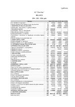 Referāts 'AS "Cēsu Alus" izvērstā finanšu analīze', 24.