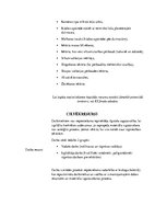 Konspekts 'Sapropeļa izmantošana siltumizolācijas materiālos', 4.