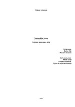 Referāts 'Motocikls "Jawa"', 1.