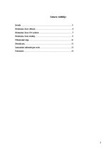 Referāts 'Motocikls "Jawa"', 2.