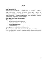 Referāts 'Motocikls "Jawa"', 3.