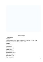 Referāts 'Motocikls "Jawa"', 9.