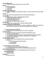 Konspekts 'Starptautiskie pārvadājumi', 3.