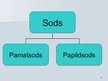 Prezentācija 'Sodu veidi un raksturojums', 4.