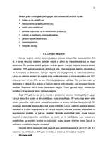 Referāts 'Latvijas eksports un imports', 10.