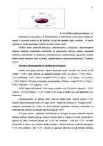 Referāts 'Latvijas eksports un imports', 15.