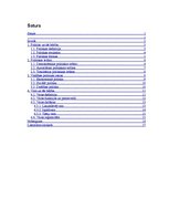 Referāts 'Vara un politika', 1.