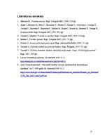 Referāts 'Vara un politika', 17.