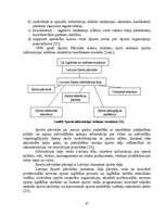 Referāts 'Sporta informācijas sistēma Latvijā', 37.