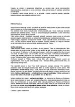 Konspekts 'Austrumu kultūras un domāšanas veida raksturojums', 2.