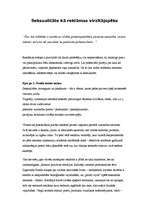 Referāts 'Seksualitāte kā reklāmas virzītājspēks', 2.