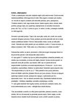 Referāts 'Seksualitāte kā reklāmas virzītājspēks', 4.