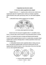 Referāts 'Magnētiskie lauki elektriskajās mašīnās', 4.