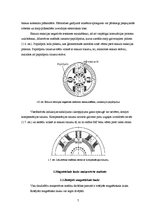 Referāts 'Magnētiskie lauki elektriskajās mašīnās', 7.