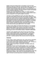 Referāts 'Ieskats mūsdienu ģērbšanās kultūrā', 4.