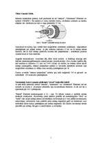 Konspekts 'Kabeļi un vadi datoru tīklos', 7.