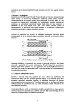 Konspekts 'Kabeļi un vadi datoru tīklos', 17.