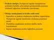 Prezentācija 'Prakses atskaites prezentācija uzņēmumā VAS "Latvijas Pasts"', 2.
