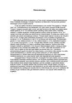 Referāts 'Alternatīvā enerģija', 11.