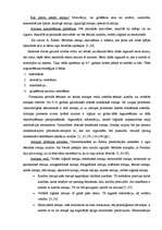 Referāts 'Tēlainā atmiņa', 2.