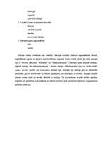 Referāts 'Tēlainā atmiņa', 4.