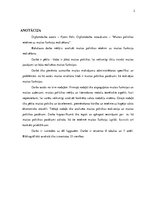 Diplomdarbs 'Muitas politikas ietekme uz muitas funkciju realizēšanu', 2.