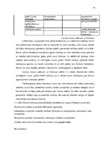 Diplomdarbs 'Muitas politikas ietekme uz muitas funkciju realizēšanu', 14.