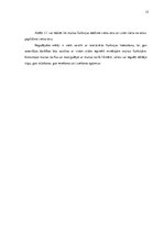 Diplomdarbs 'Muitas politikas ietekme uz muitas funkciju realizēšanu', 15.