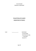 Paraugs 'Patstāvīgais darbs mikroekonomikā', 1.