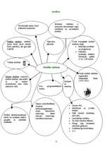 Referāts 'Mobilie telefoni', 6.