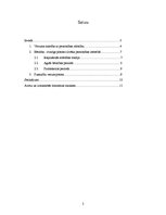 Referāts 'Cilvēka dzīves cikli', 2.