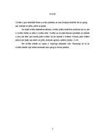 Referāts 'Cilvēka dzīves cikli', 3.