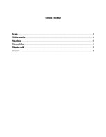 Referāts 'Āfrikas rietumu mūzika', 2.